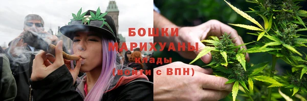 дмт Дмитров