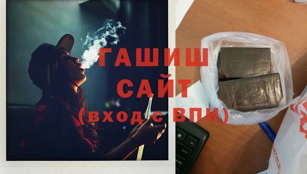 дмт Дмитров