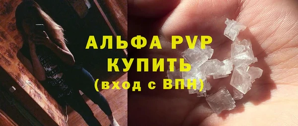 гашик Дмитриев