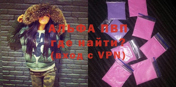 гашик Дмитриев