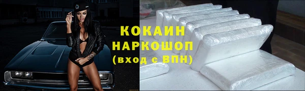 гашик Дмитриев