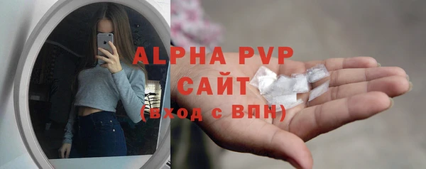 дмт Дмитров