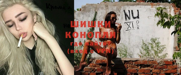 гашик Дмитриев