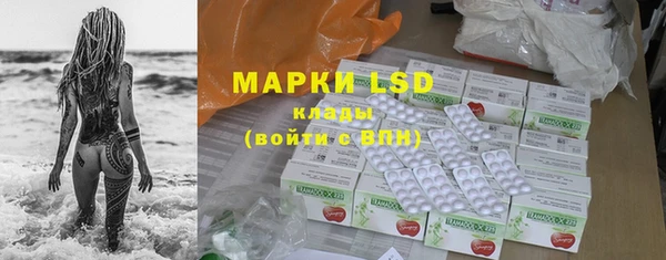 гашик Дмитриев