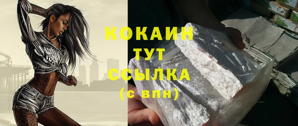 гашик Дмитриев