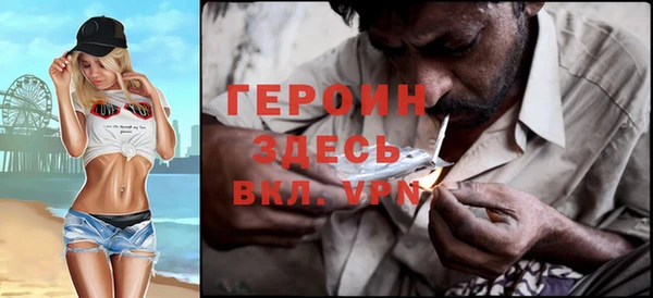 дмт Дмитров